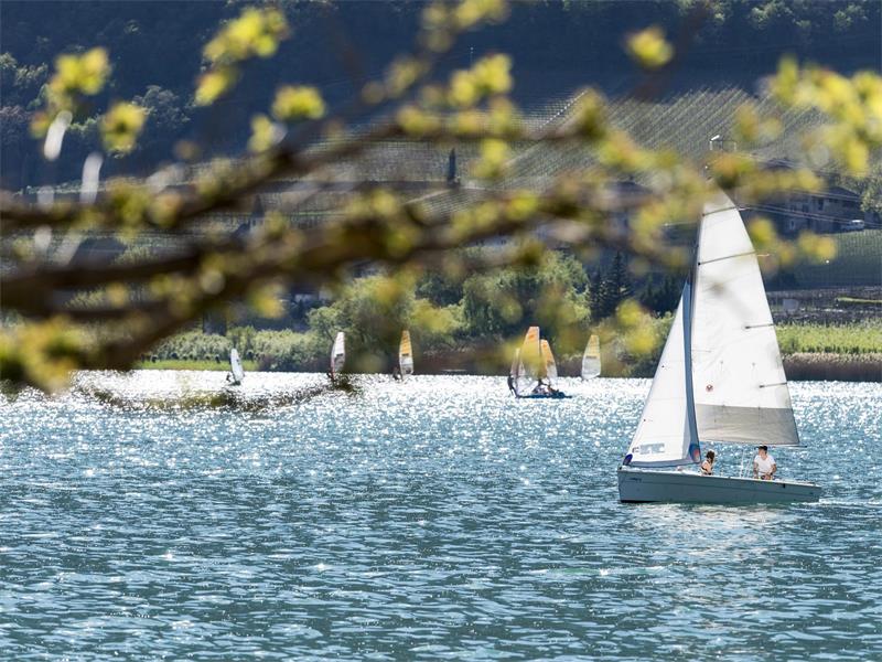 Foto für Kalterer See Regatta: Südtirol Finn Cup
